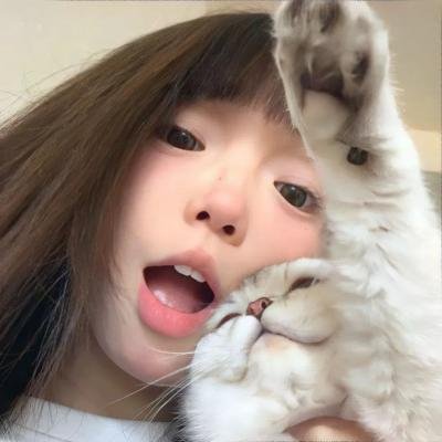 蓝色马蹄莲